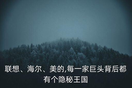 聯(lián)想、海爾、美的,每一家巨頭背后都有個隱秘王國