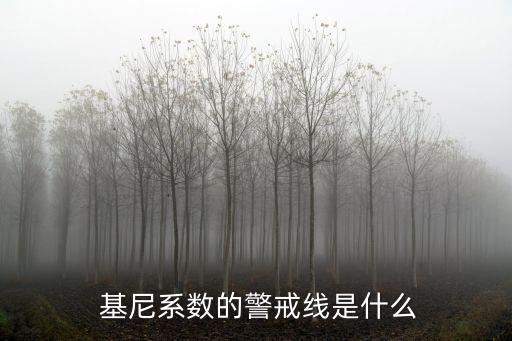  基尼系數的警戒線是什么