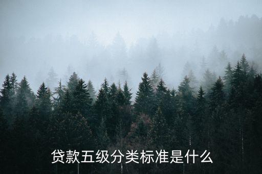  貸款五級(jí)分類標(biāo)準(zhǔn)是什么