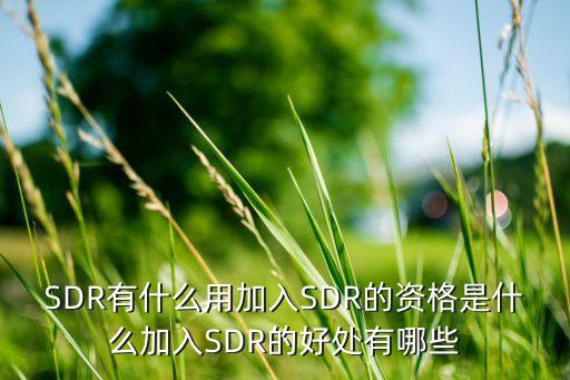 SDR有什么用加入SDR的資格是什么加入SDR的好處有哪些