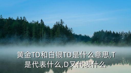  黃金TD和白銀TD是什么意思,T是代表什么,D又代表什么