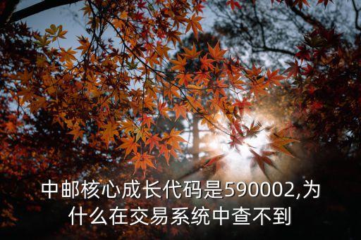 基金凈值查詢(xún)590002l