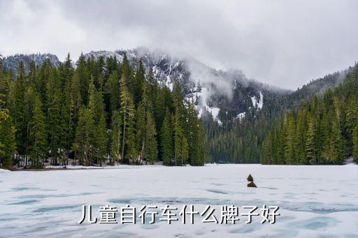 浙江元祺汽車有限公司,浙江華遠(yuǎn)汽車科技股份有限公司