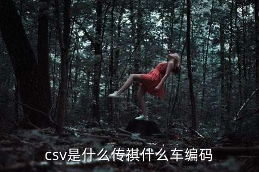 csv是什么傳祺什么車編碼