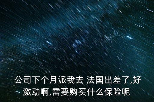 法國公司保險,法國留學生保險