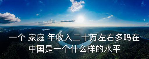 一個(gè) 家庭 年收入二十萬(wàn)左右多嗎在中國(guó)是一個(gè)什么樣的水平