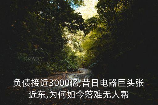 負(fù)債接近3000億,昔日電器巨頭張近東,為何如今落難無(wú)人幫