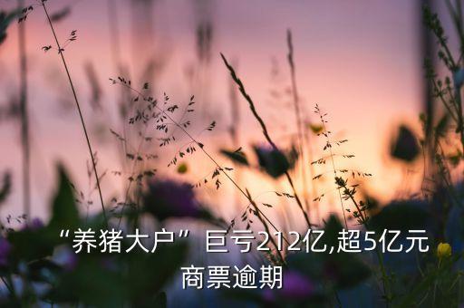 “養(yǎng)豬大戶(hù)”巨虧212億,超5億元商票逾期