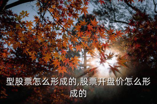 n字型股票怎么形成的,股票開(kāi)盤(pán)價(jià)怎么形成的