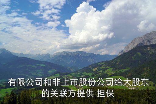 有限公司對外擔(dān)保,第三方擔(dān)保公司