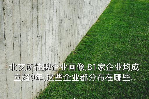 北交所掛牌企業(yè)畫(huà)像,81家企業(yè)均成立超9年,這些企業(yè)都分布在哪些...