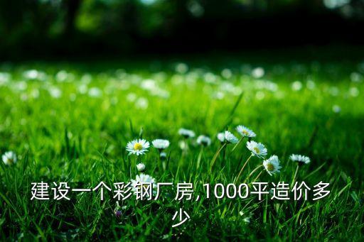 投資開鋼鐵廠費(fèi)用,100萬噸鋼鐵廠投資