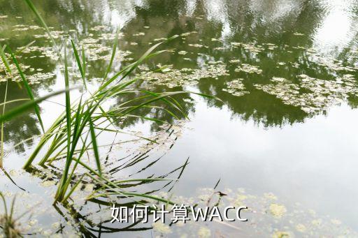 如何計(jì)算WACC