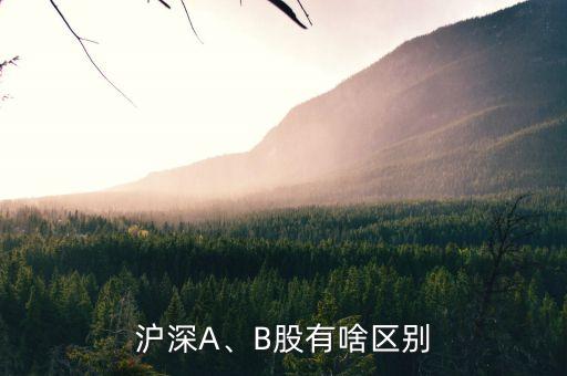 上海b股的投資價(jià)值,伊泰b股有投資價(jià)值嗎