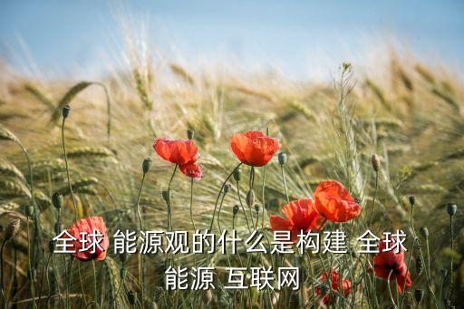  全球 能源觀的什么是構(gòu)建 全球 能源 互聯(lián)網(wǎng)