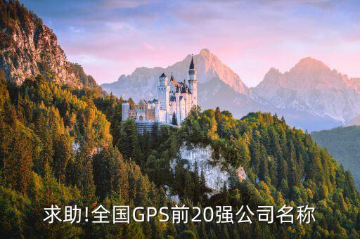 求助!全國GPS前20強公司名稱