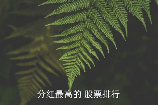 分紅最高的 股票排行