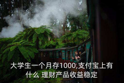 大學(xué)生一個月存1000,支付寶上有什么 理財產(chǎn)品收益穩(wěn)定