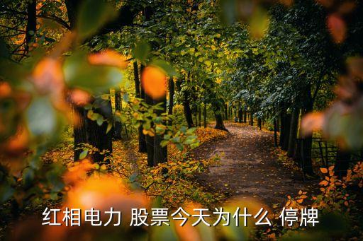 紅相電力 股票今天為什么 停牌