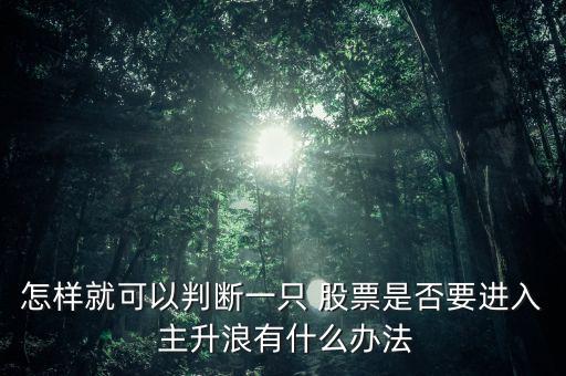 怎樣就可以判斷一只 股票是否要進(jìn)入 主升浪有什么辦法