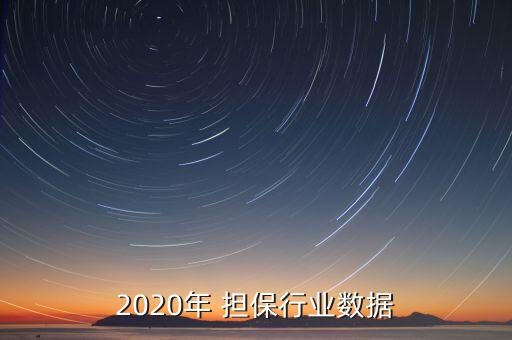 2020年 擔保行業(yè)數(shù)據(jù)