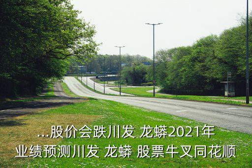 ...股價(jià)會(huì)跌川發(fā) 龍蟒2021年業(yè)績預(yù)測川發(fā) 龍蟒 股票牛叉同花順