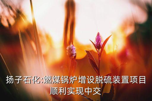 揚(yáng)子石化:燃煤鍋爐增設(shè)脫硫裝置項(xiàng)目順利實(shí)現(xiàn)中交