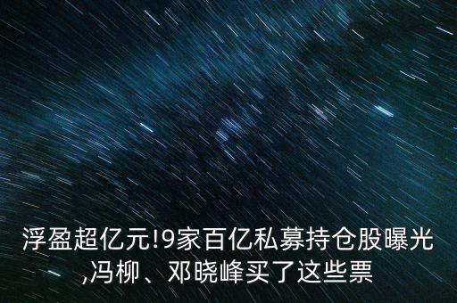 浮盈超億元!9家百億私募持倉股曝光,馮柳、鄧曉峰買了這些票