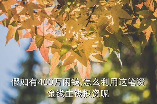 假如有400萬閑錢,怎么利用這筆資金錢生錢投資呢