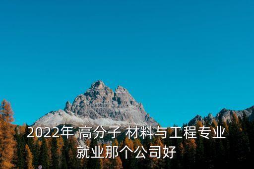 2022年 高分子 材料與工程專業(yè)就業(yè)那個(gè)公司好