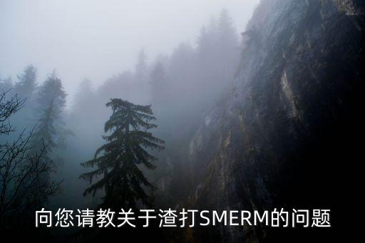 向您請教關于渣打SMERM的問題