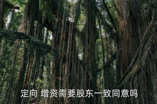 有限公司定向增資