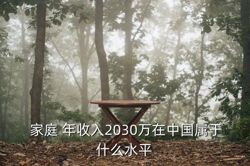  家庭 年收入2030萬(wàn)在中國(guó)屬于什么水平