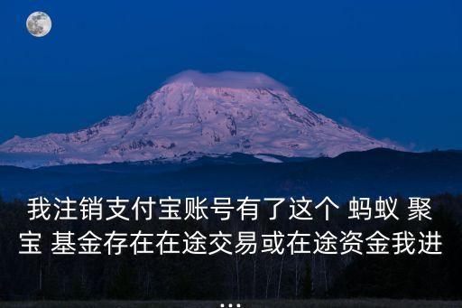 我注銷支付寶賬號有了這個 螞蟻 聚寶 基金存在在途交易或在途資金我進...