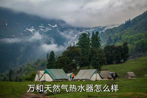 萬(wàn)和天然氣熱水器怎么樣