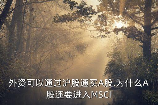 外資可以通過(guò)滬股通買A股,為什么A股還要進(jìn)入MSCI