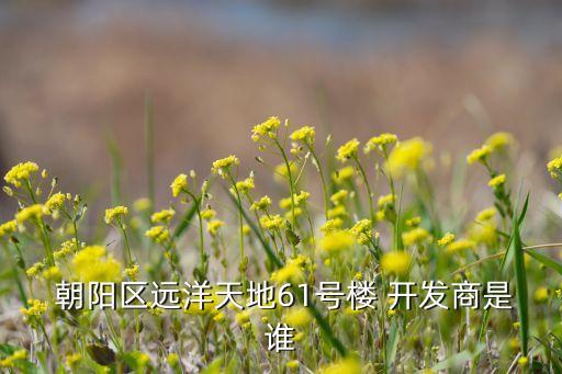  朝陽區(qū)遠(yuǎn)洋天地61號樓 開發(fā)商是誰