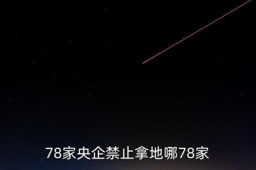 78家央企禁止拿地哪78家