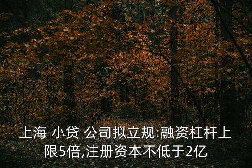 上海 小貸 公司擬立規(guī):融資杠桿上限5倍,注冊資本不低于2億