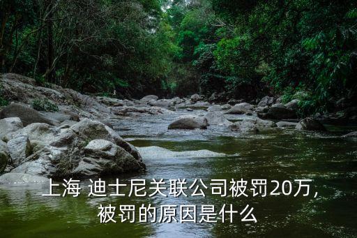  上海 迪士尼關(guān)聯(lián)公司被罰20萬,被罰的原因是什么