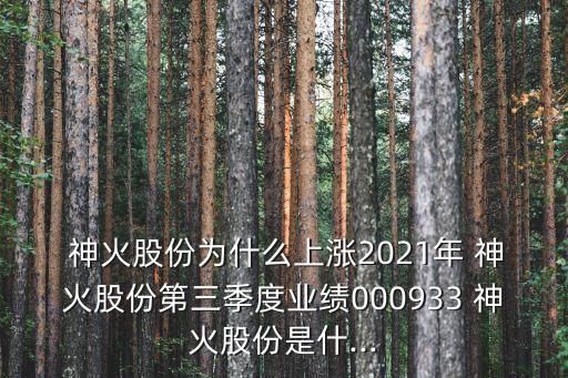  神火股份為什么上漲2021年 神火股份第三季度業(yè)績000933 神火股份是什...