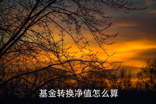  基金轉(zhuǎn)換凈值怎么算