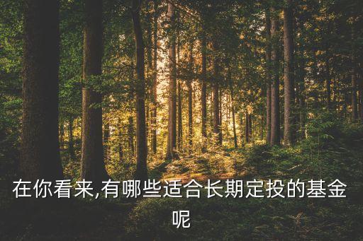 在你看來,有哪些適合長(zhǎng)期定投的基金呢