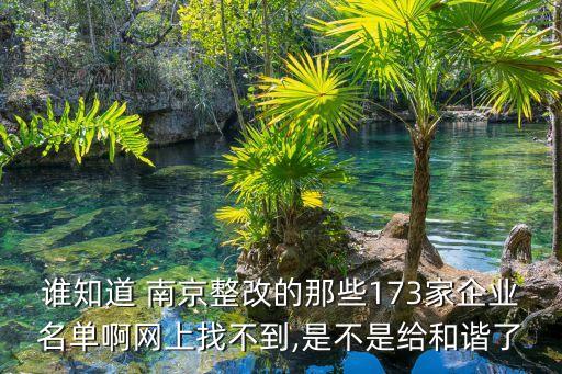 誰知道 南京整改的那些173家企業(yè)名單啊網上找不到,是不是給和諧了