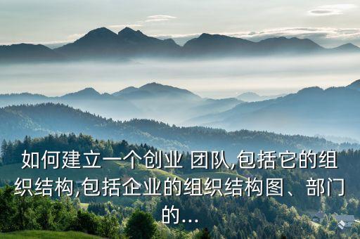 如何建立一個創(chuàng)業(yè) 團隊,包括它的組織結構,包括企業(yè)的組織結構圖、部門的...