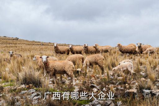 中恒集團總部,恒申集團總部大樓