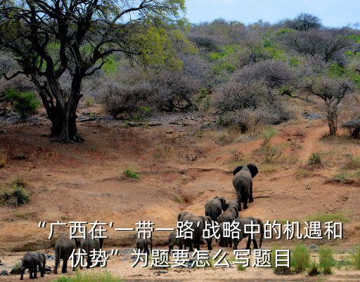 “廣西在‘一帶一路’戰(zhàn)略中的機(jī)遇和優(yōu)勢(shì)”為題要怎么寫題目