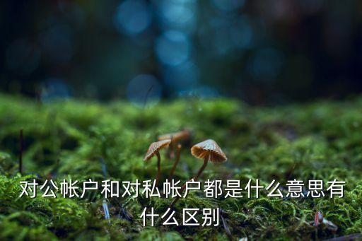  對(duì)公帳戶和對(duì)私帳戶都是什么意思有什么區(qū)別