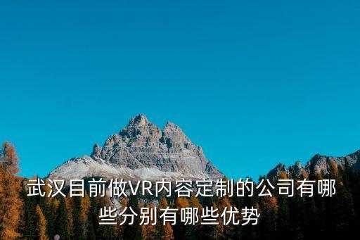 武漢三川遠(yuǎn)策科技有限公司