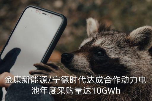 金康新能源/寧德時代達成合作動力電池年度采購量達10GWh